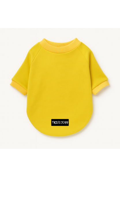 Sunshine Sweatshirt