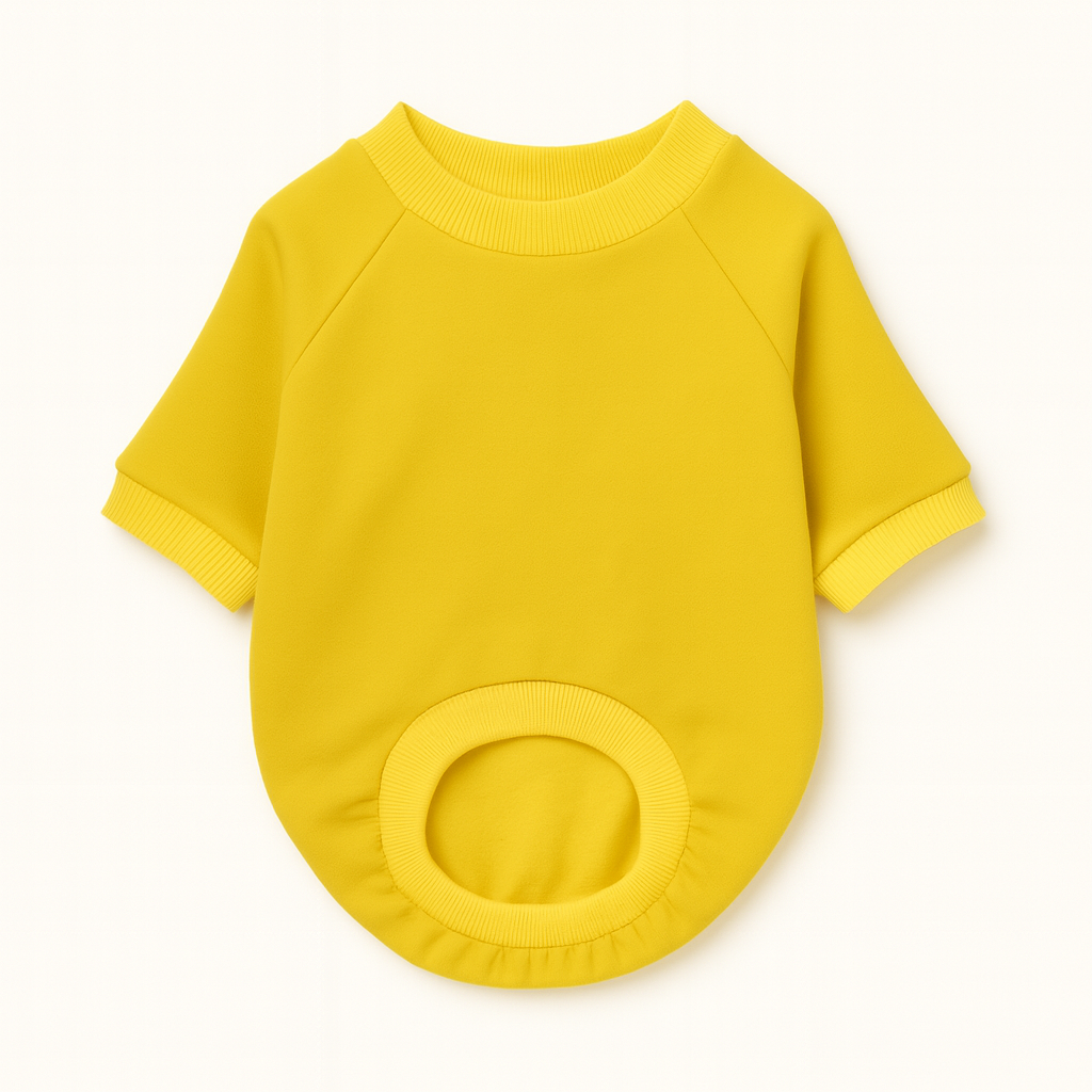 Sunshine Sweatshirt