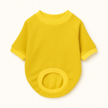 Sunshine Sweatshirt