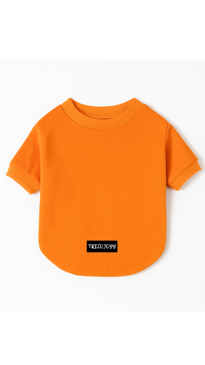 JoyFlare Sweatshirt | Winter Wear